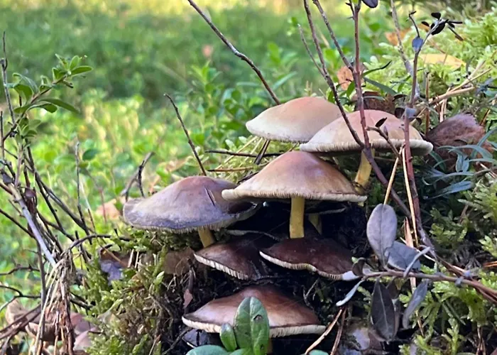 Centrum Wypoczynkowe Karman Vakantiepark